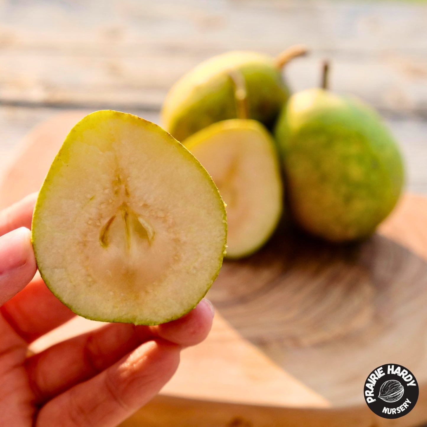 Beedle Pear