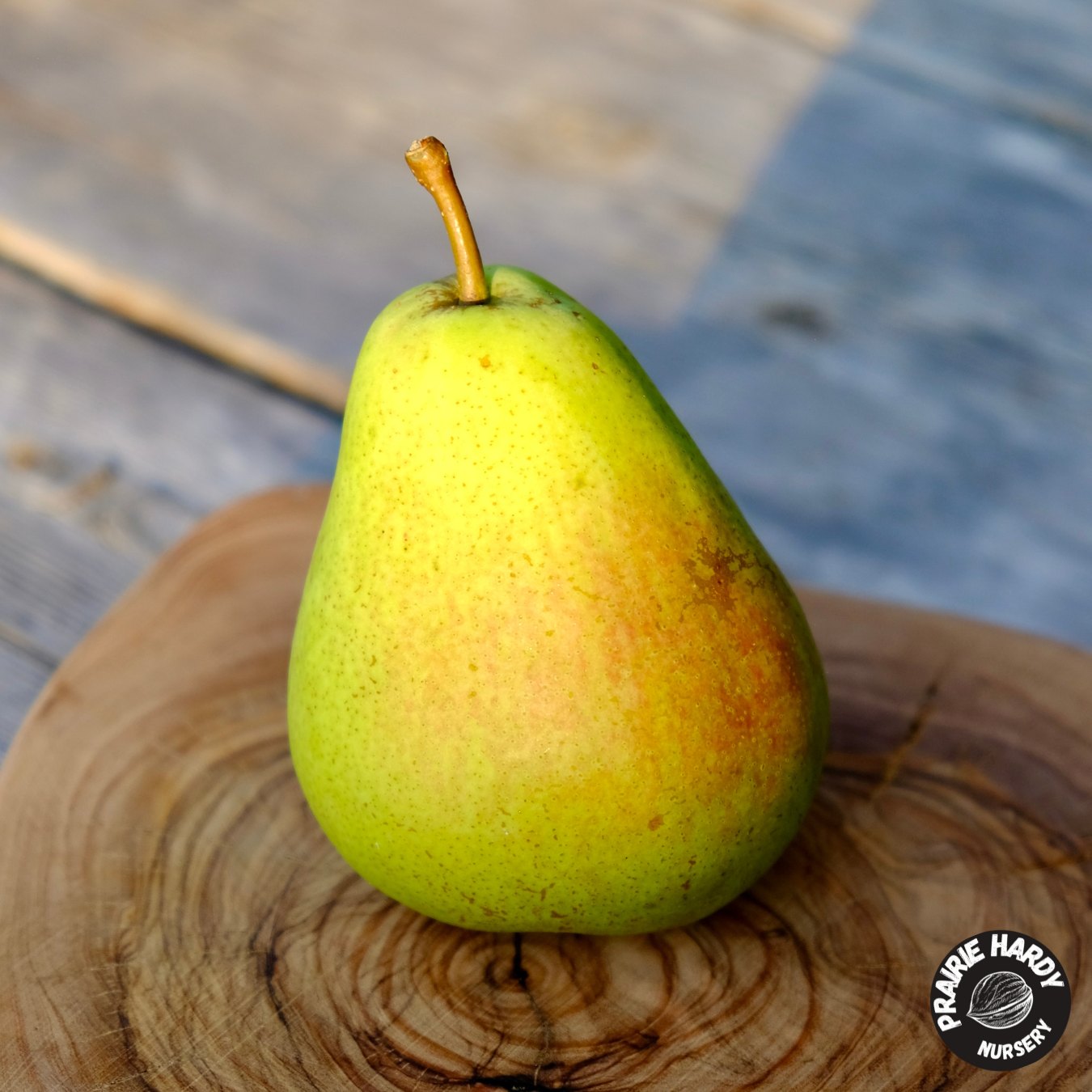 Marshal Zhukov Pear