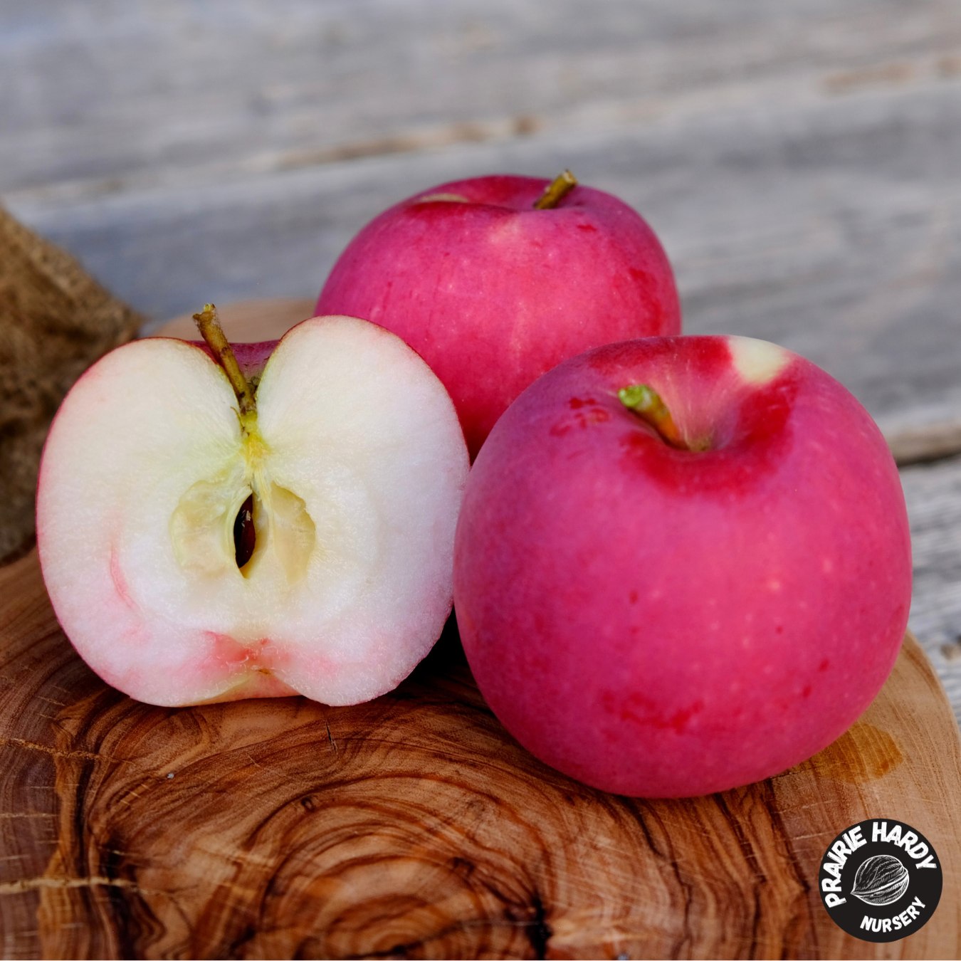 Misty Rose Apple