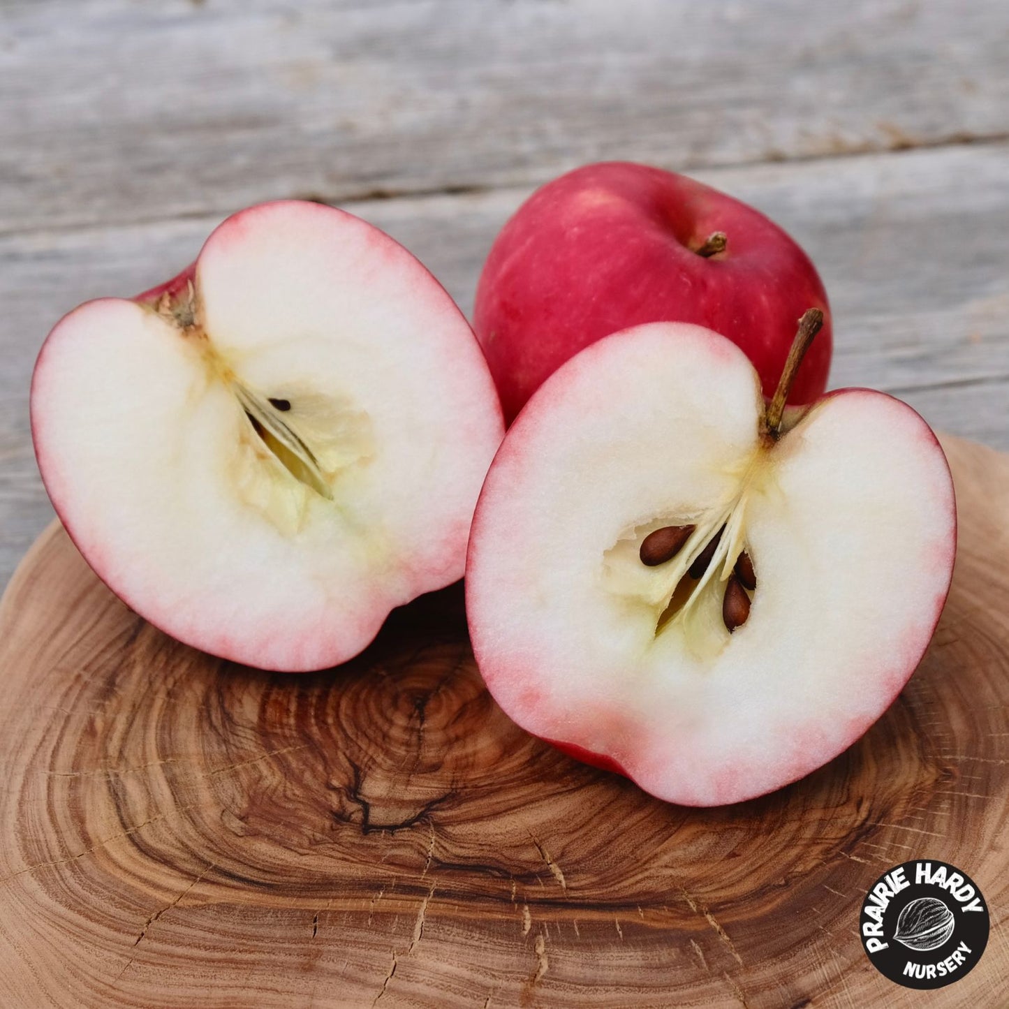 Summer Red Apple