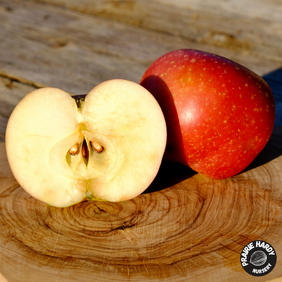TreasuRed Apple